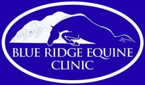 BREC-BlueWhite-Logo-2