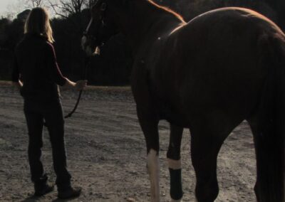 a person standing next to a horse