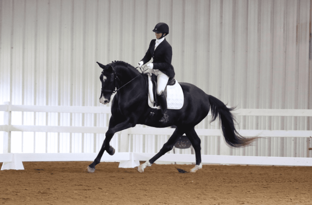 a person riding a horse