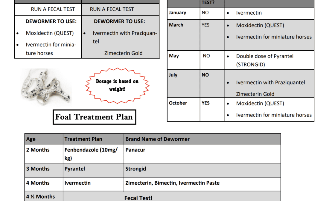 BREC Deworming Protocol