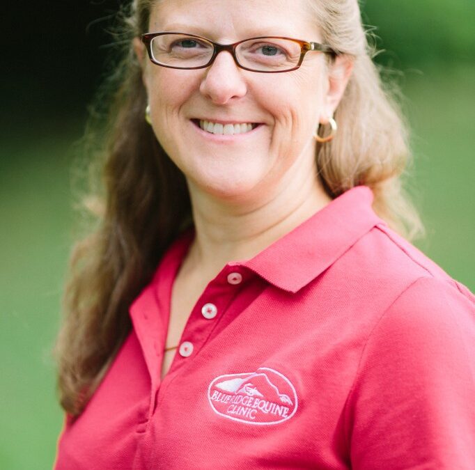 What Is An Equine Internal Medicine Specialist?