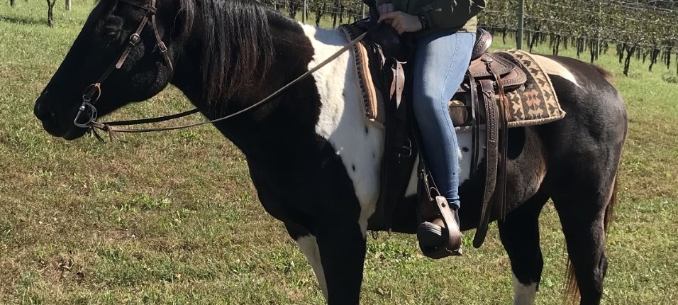 anne-riding