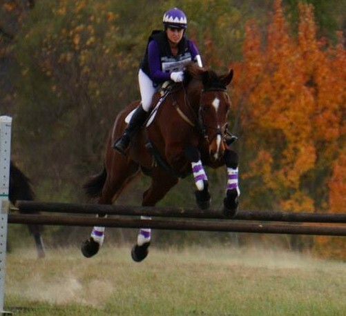 a person riding a horse jumping over a fence