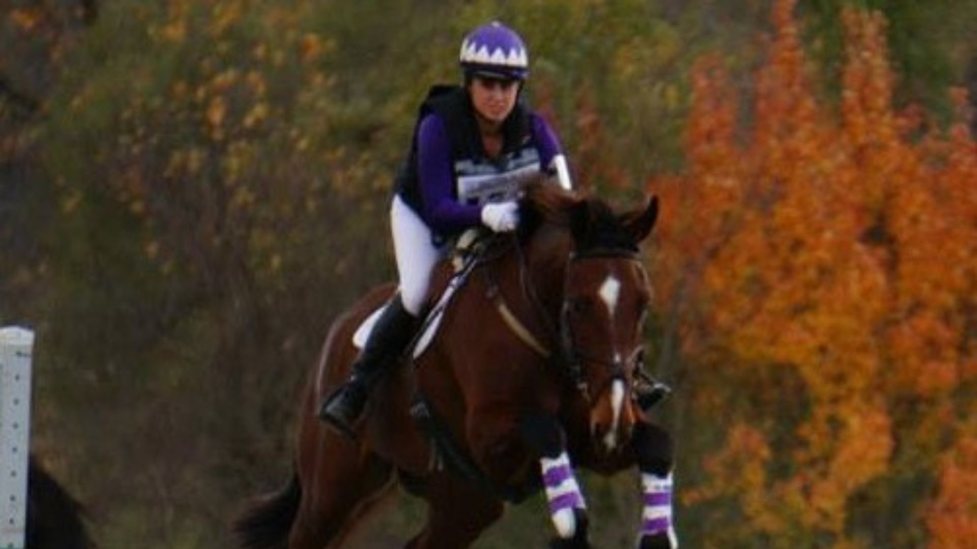 a-person-riding-a-horse-jumping-a-fence