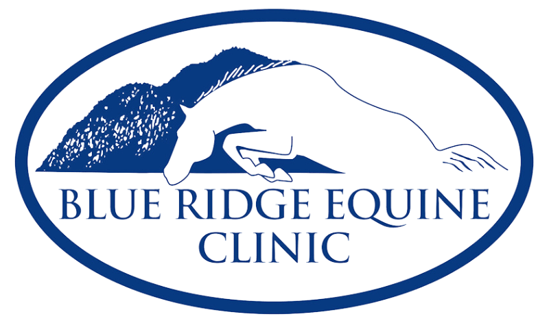 Blue Ridge Equine Clinic Logo