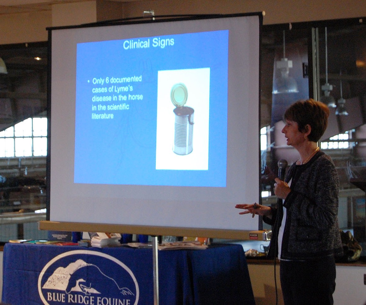 a person giving a presentation