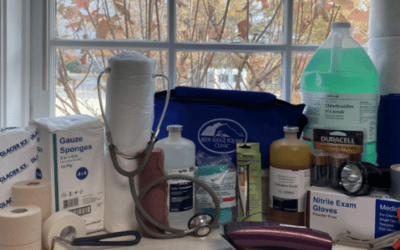 Basic Equine First Aid Kit