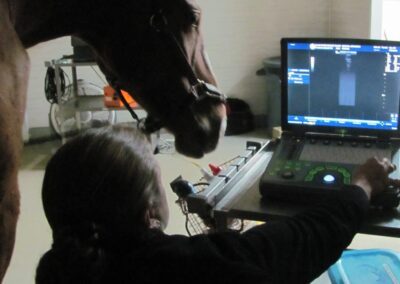 a person using a computer to check the results of a horse