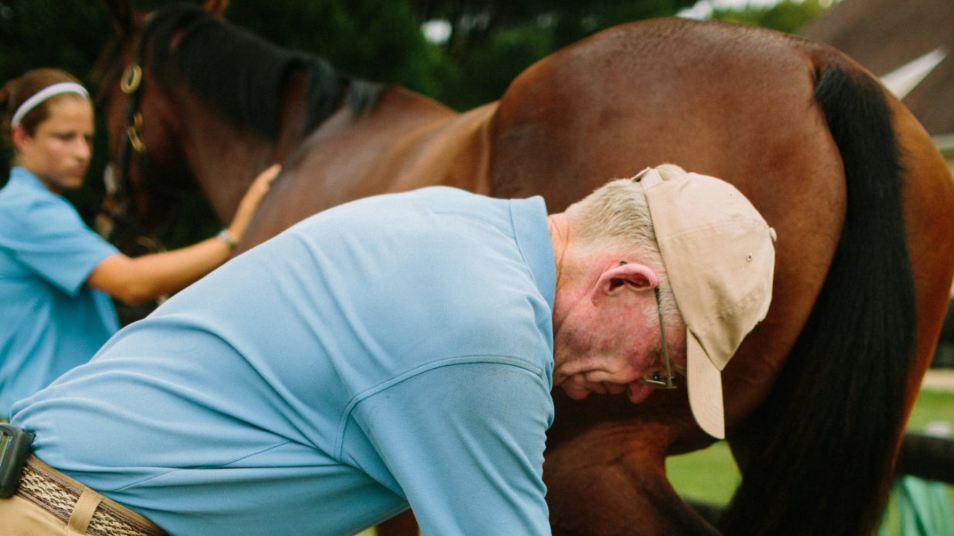 a veterinarian touching a horse's foot