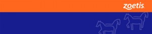 a blue and orange rectangle