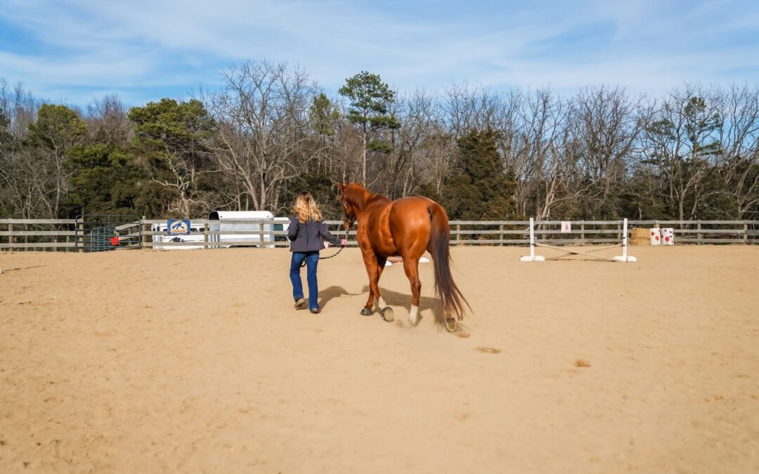 Equine Reproduction in Earlysville, VA