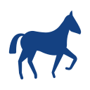 a blue horse icon